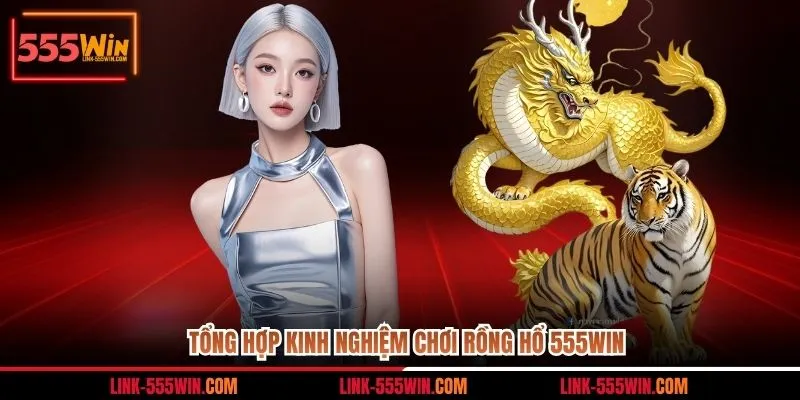 Tổng hợp kinh nghiệm chơi Rồng Hổ 555win